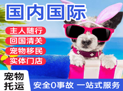 济南航空快递国际宠物托运 【国